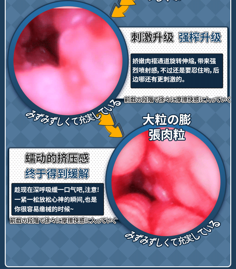 【男用器具】深田家族-后妈与3个女儿 虞姬301209